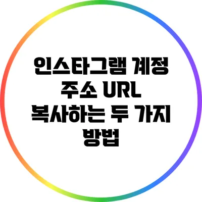 인스타그램 계정 주소 URL 복사하는 두 가지 방법