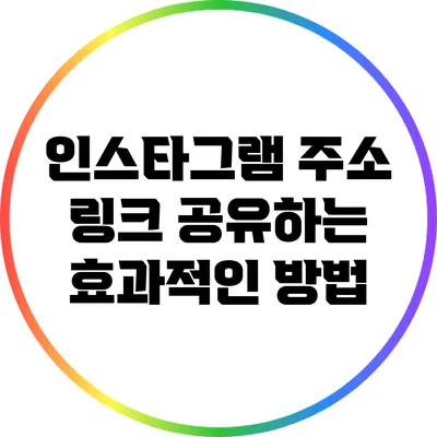 인스타그램 주소 링크 공유하는 효과적인 방법