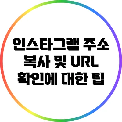 인스타그램 주소 복사 및 URL 확인에 대한 팁