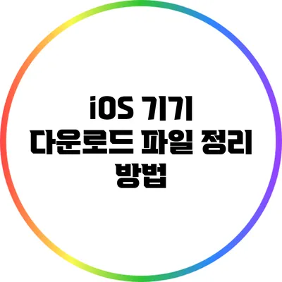 iOS 기기 다운로드 파일 정리 방법