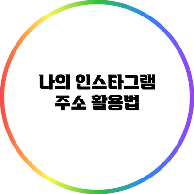 나의 인스타그램 주소 활용법