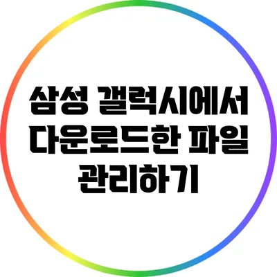 삼성 갤럭시에서 다운로드한 파일 관리하기