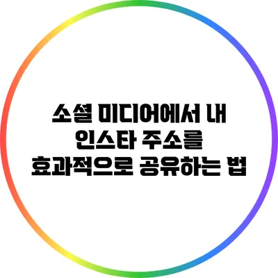 소셜 미디어에서 내 인스타 주소를 효과적으로 공유하는 법