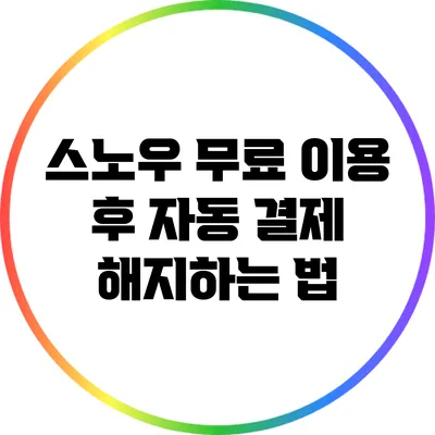 스노우 무료 이용 후 자동 결제 해지하는 법