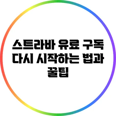 스트라바 유료 구독 다시 시작하는 법과 꿀팁