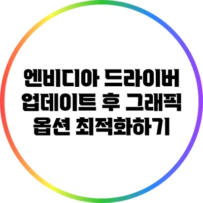 엔비디아 드라이버 업데이트 후 그래픽 옵션 최적화하기