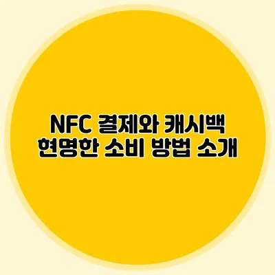 NFC 결제와 캐시백: 현명한 소비 방법 소개