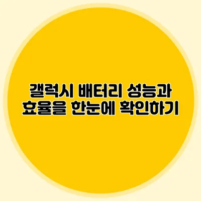 갤럭시 배터리 성능과 효율을 한눈에 확인하기