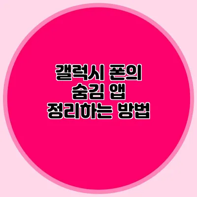 갤럭시 폰의 숨김 앱 정리하는 방법