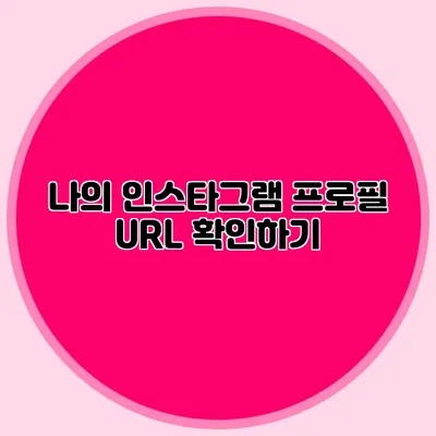 나의 인스타그램 프로필 URL 확인하기