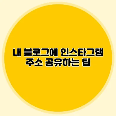 내 블로그에 인스타그램 주소 공유하는 팁