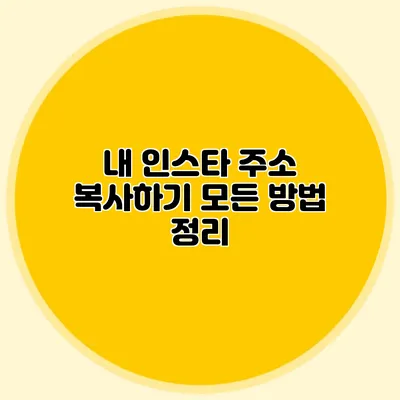 내 인스타 주소 복사하기: 모든 방법 정리