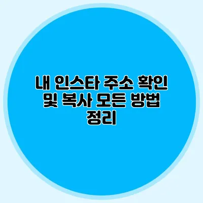 내 인스타 주소 확인 및 복사: 모든 방법 정리