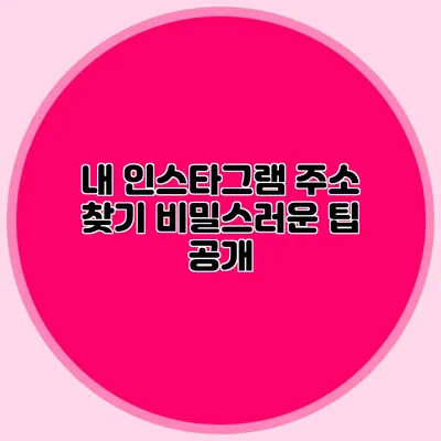 내 인스타그램 주소 찾기: 비밀스러운 팁 공개
