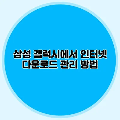 삼성 갤럭시에서 인터넷 다운로드 관리 방법