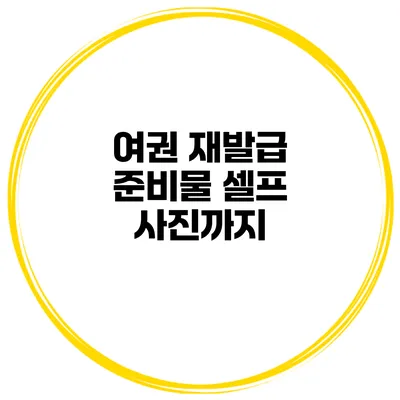 여권 재발급 준비물 셀프 사진까지
