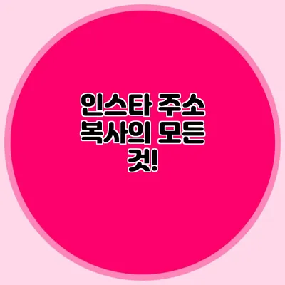 인스타 주소 복사의 모든 것!