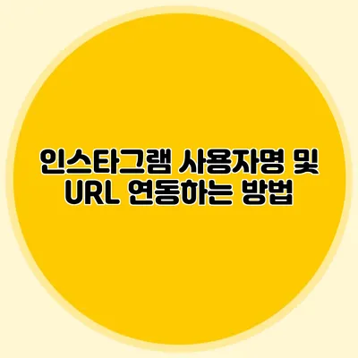 인스타그램 사용자명 및 URL 연동하는 방법