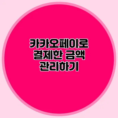 카카오페이로 결제한 금액 관리하기