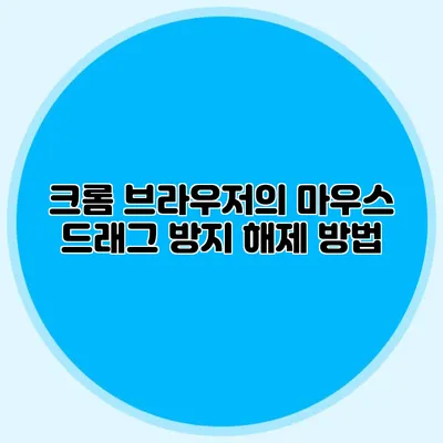 크롬 브라우저의 마우스 드래그 방지 해제 방법