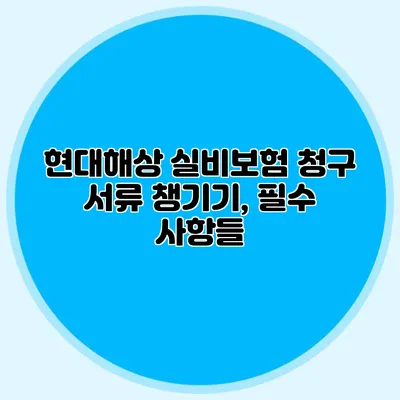 현대해상 실비보험 청구 서류 챙기기, 필수 사항들