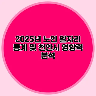 2025년 노인 일자리 통계 및 천안시 영향력 분석