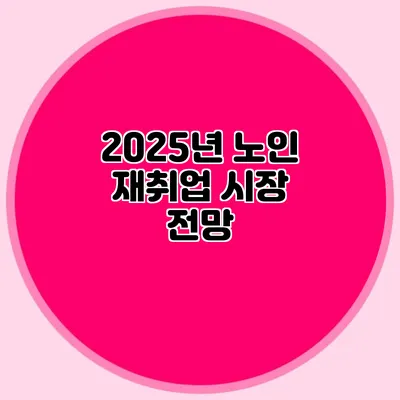 2025년 노인 재취업 시장 전망