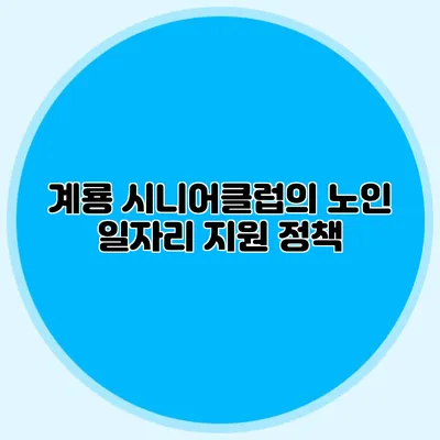 계룡 시니어클럽의 노인 일자리 지원 정책