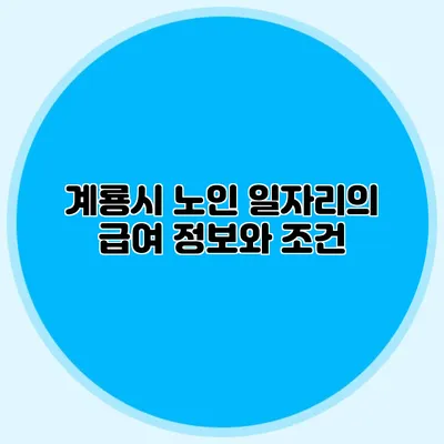 계룡시 노인 일자리의 급여 정보와 조건