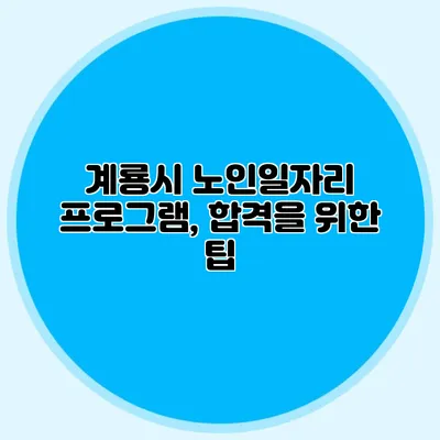 계룡시 노인일자리 프로그램, 합격을 위한 팁