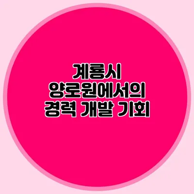 계룡시 양로원에서의 경력 개발 기회