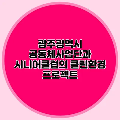 광주광역시 공동체사업단과 시니어클럽의 클린환경 프로젝트