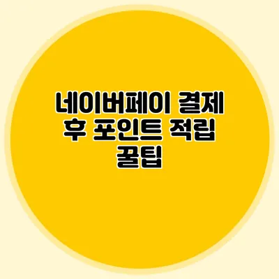 네이버페이 결제 후 포인트 적립 꿀팁
