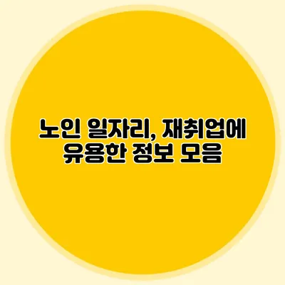 노인 일자리, 재취업에 유용한 정보 모음
