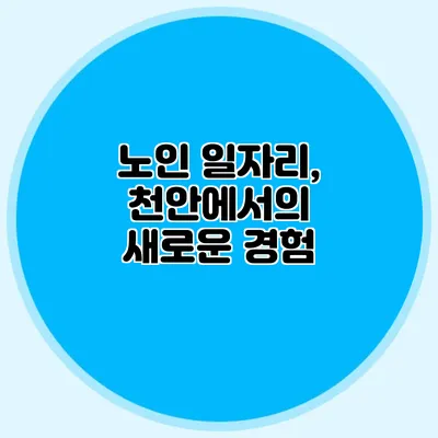 노인 일자리, 천안에서의 새로운 경험