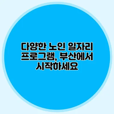 다양한 노인 일자리 프로그램, 부산에서 시작하세요