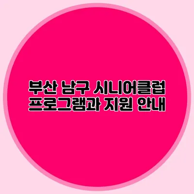 부산 남구 시니어클럽 프로그램과 지원 안내