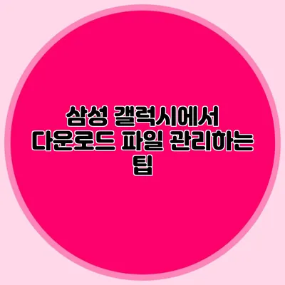 삼성 갤럭시에서 다운로드 파일 관리하는 팁