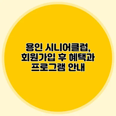 용인 시니어클럽, 회원가입 후 혜택과 프로그램 안내