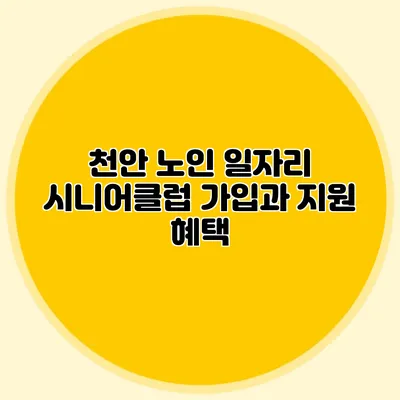 천안 노인 일자리 시니어클럽 가입과 지원 혜택