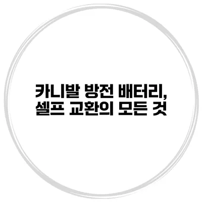 카니발 방전 배터리, 셀프 교환의 모든 것