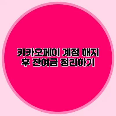 카카오페이 계정 해지 후 잔여금 정리하기