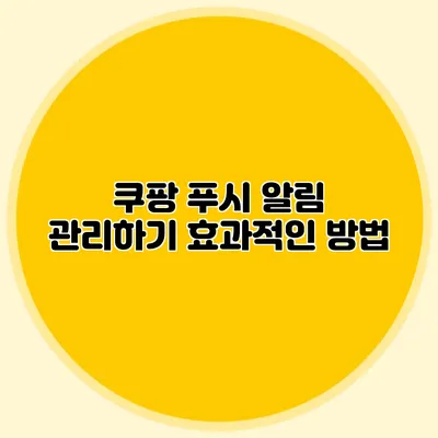 쿠팡 푸시 알림 관리하기: 효과적인 방법