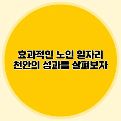 효과적인 노인 일자리 천안의 성과를 살펴보자